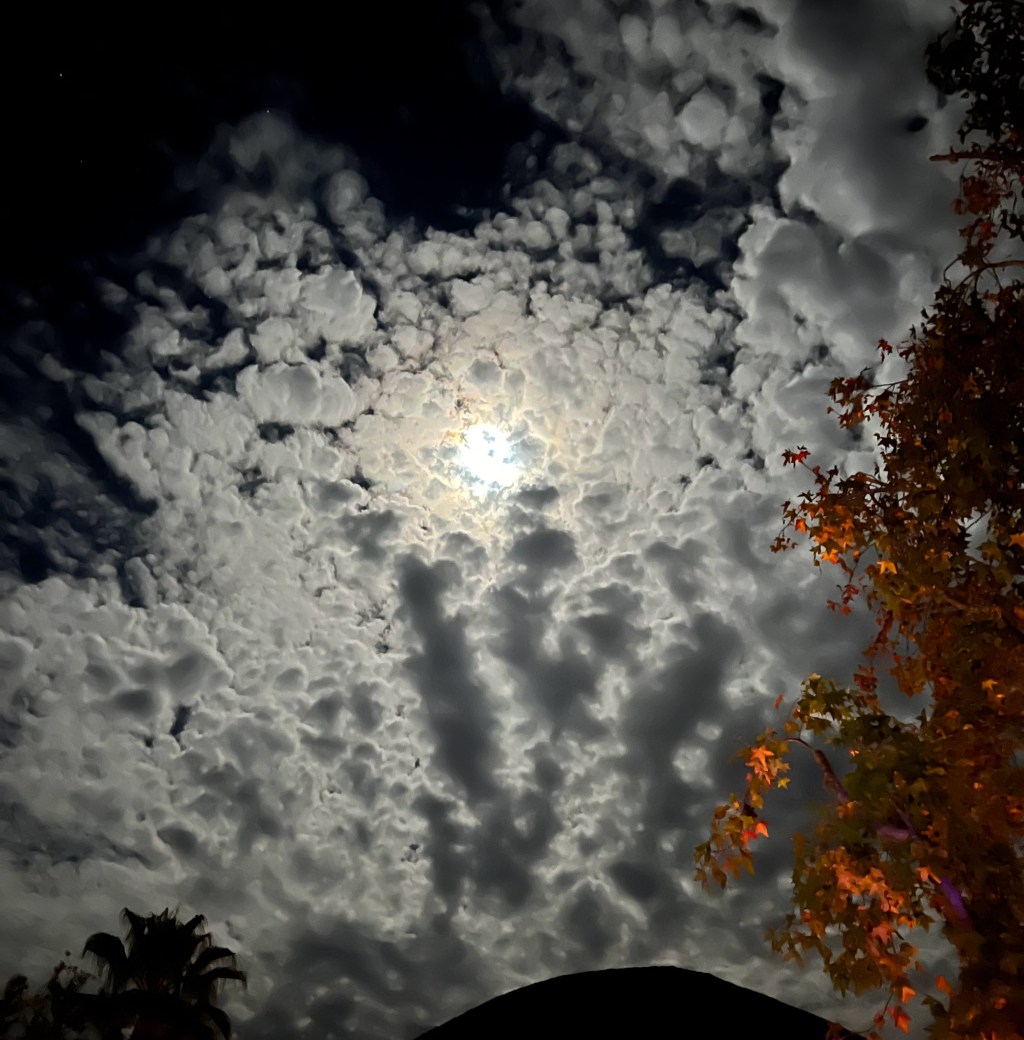 seeing in the&nbsp;dark